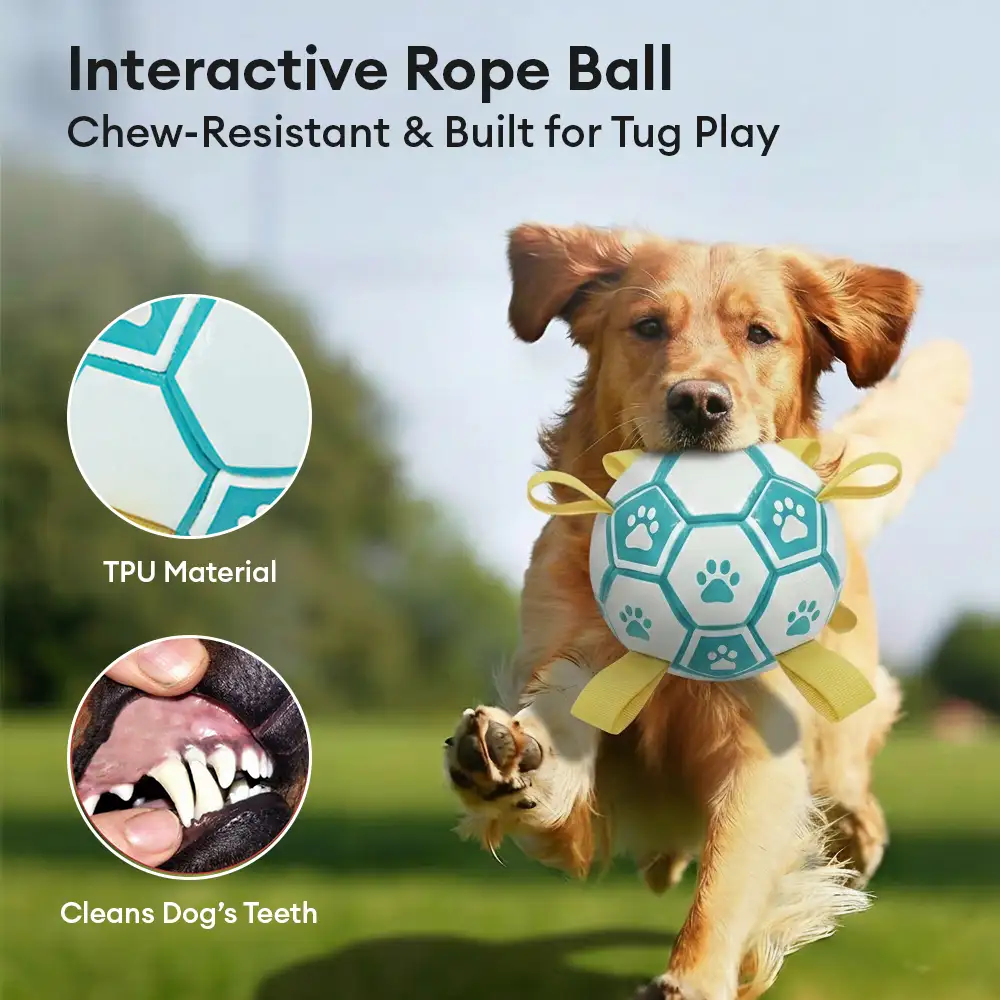 Balle de soccer en forme d'empreinte de patte pour chien avec sangles. - Image 3