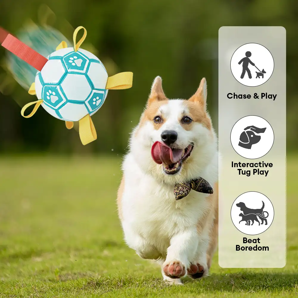 Balle de soccer en forme d'empreinte de patte pour chien avec sangles. - Image 4