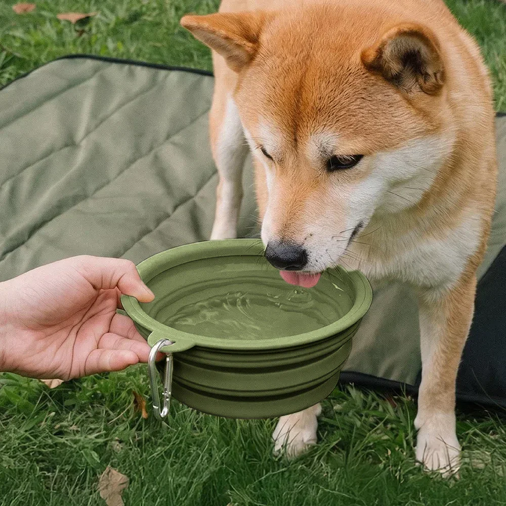 Bol en silicone pliable pour chien - Urban Roaming - Image 8