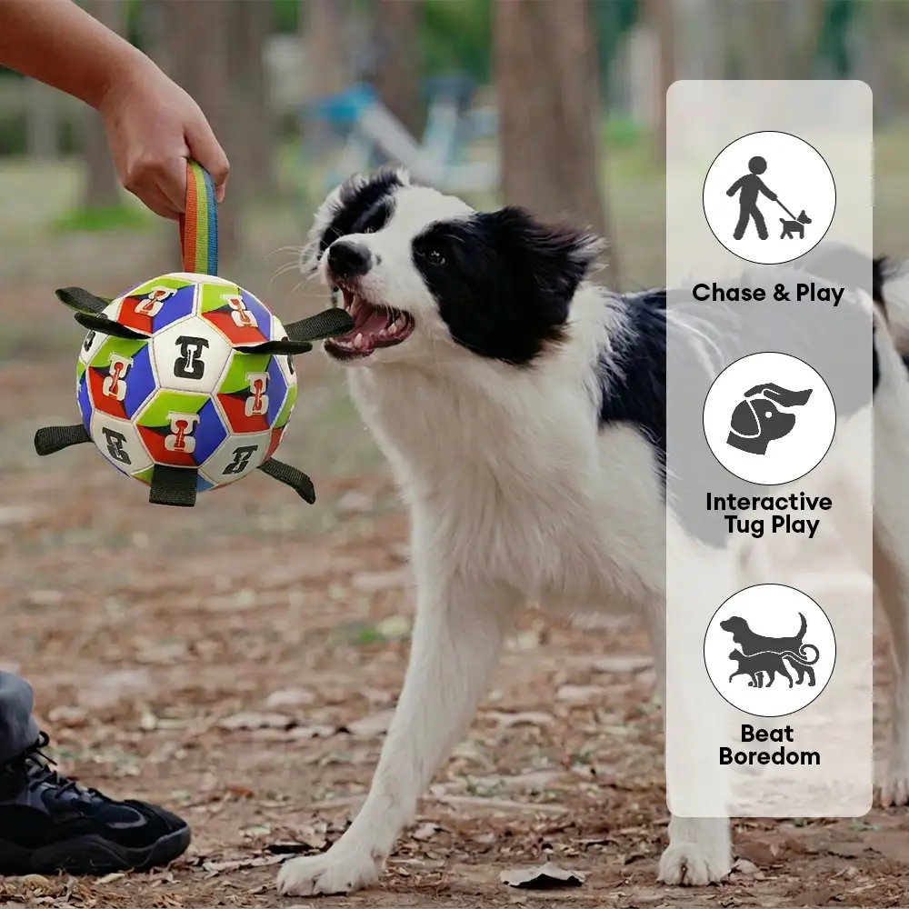 Boule de soccer pour chien avec des sangles, jouet interactif - Image 3