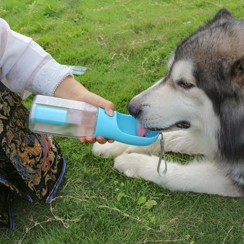 Bouteille d'eau portable pour chien 3 en 1 multifonctionnelle pour les promenades - Image 8