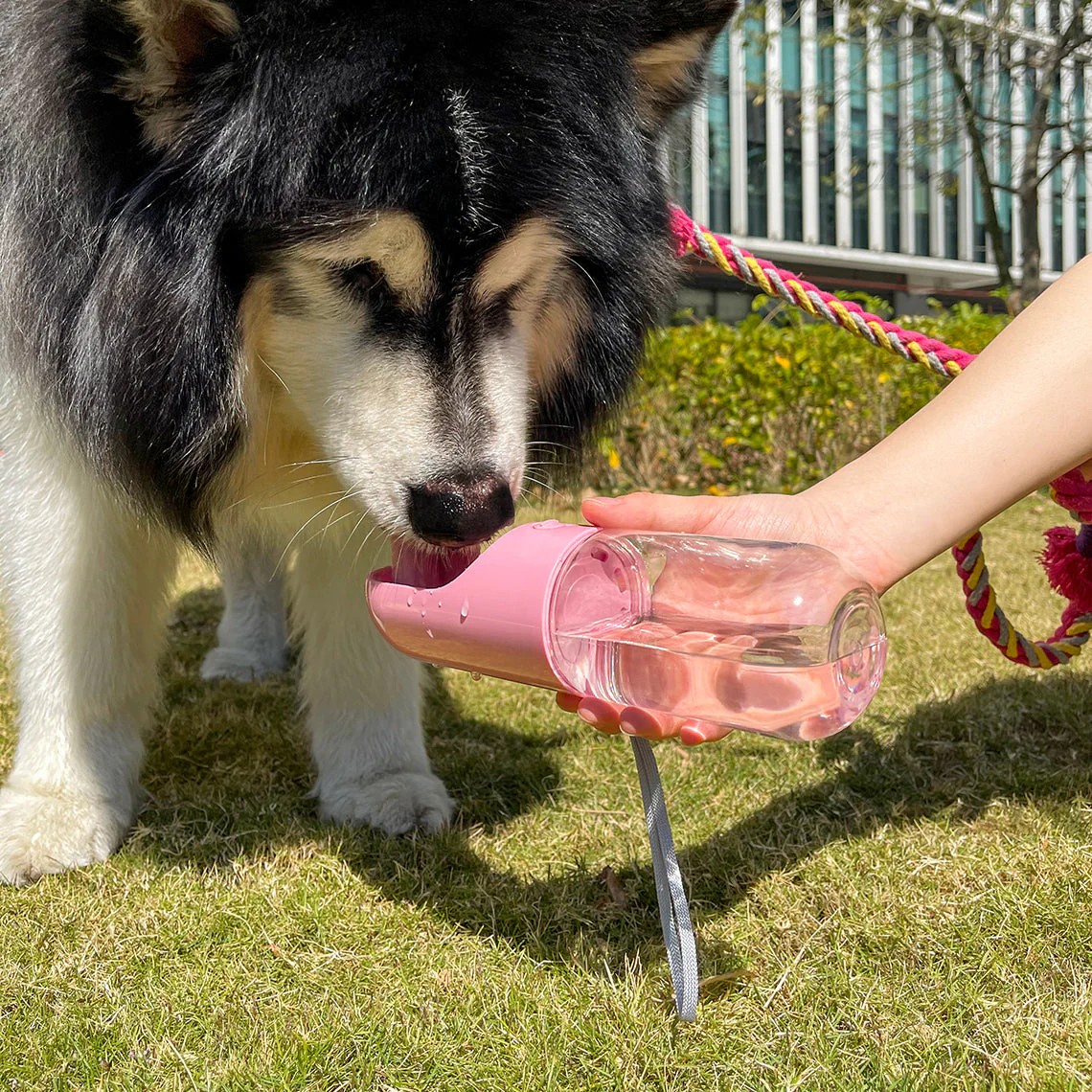 Bouteille d'eau portable pour chien - Image 4