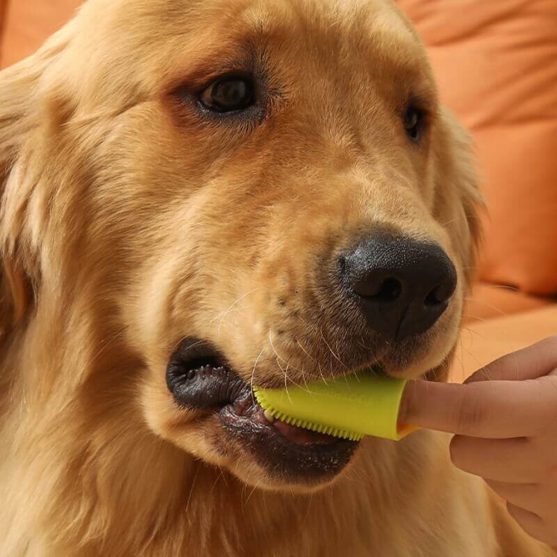 Brosse à dents pour animaux Doigt Nettoyage des dents - Image 10