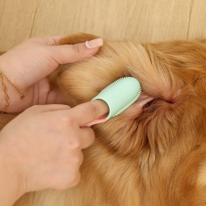 Brosse à dents pour animaux Doigt Nettoyage des dents - Image 11