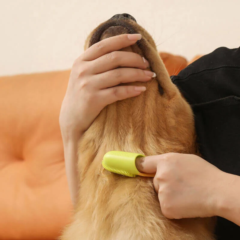 Brosse à dents pour animaux Doigt Nettoyage des dents - Image 12