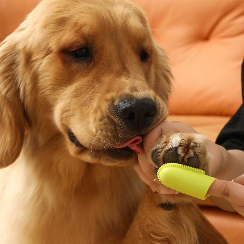 Brosse à dents pour animaux Doigt Nettoyage des dents - Image 13