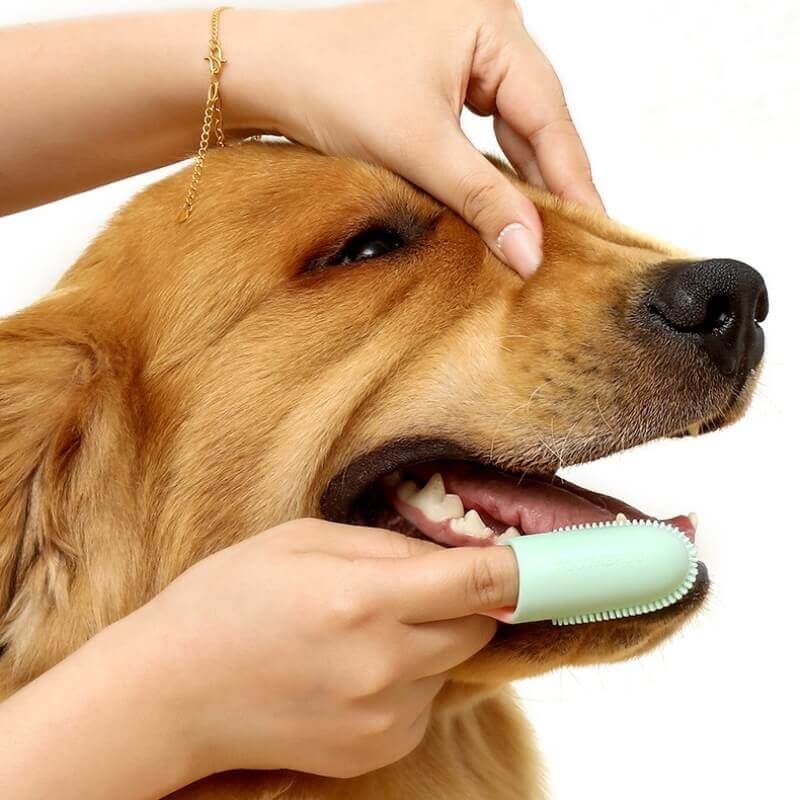 Brosse à dents pour animaux Doigt Nettoyage des dents - Image 9