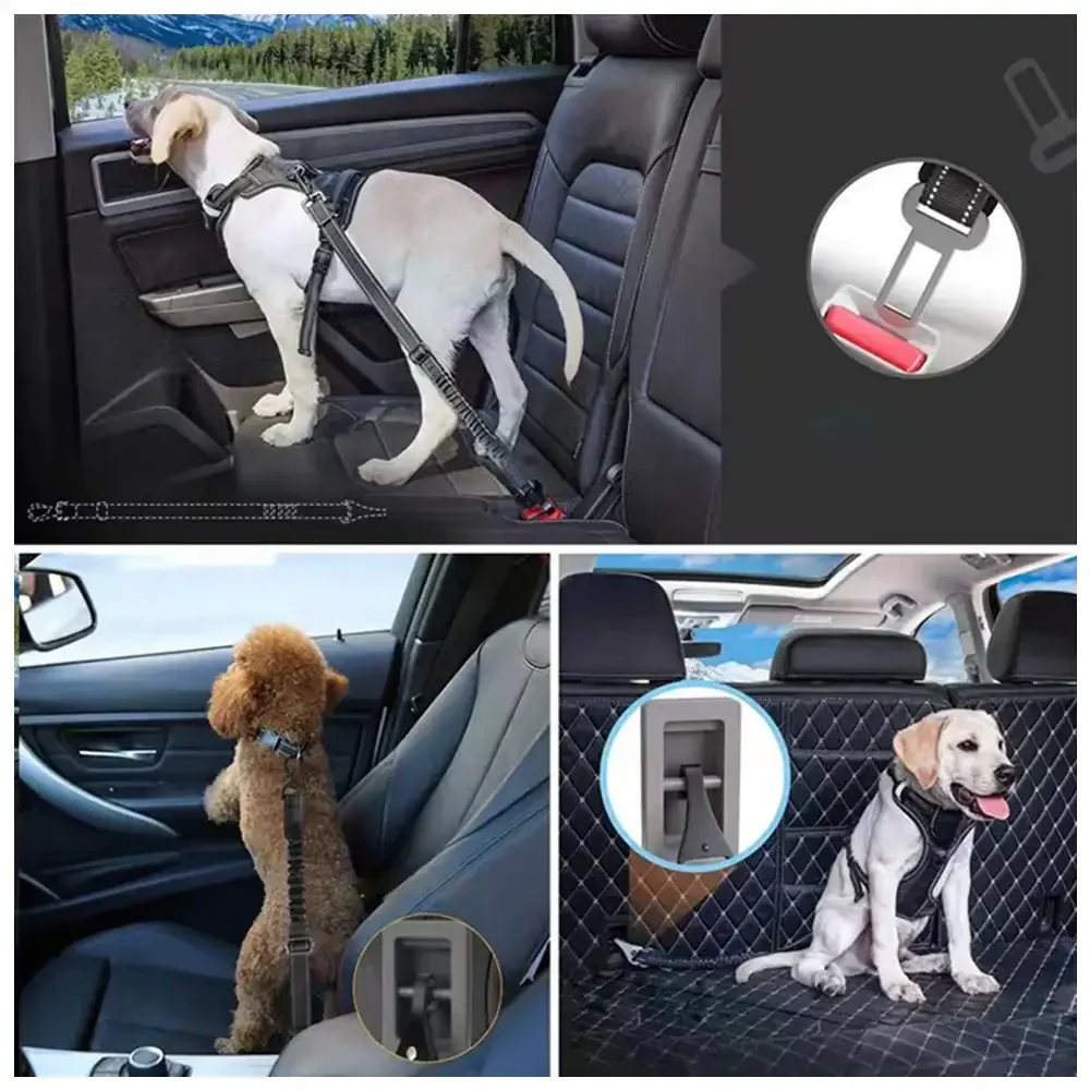 Ceinture de sécurité pour chien 3 en 1 avec bungee, boucle verrouillable à 360° et crochet. - Image 6