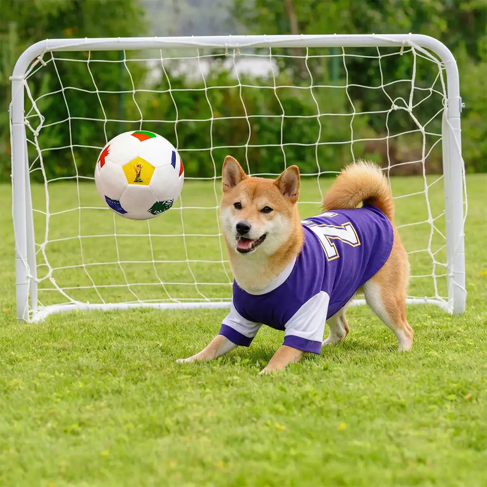 Coussin en peluche de football Jouets pour Chien - Image 3
