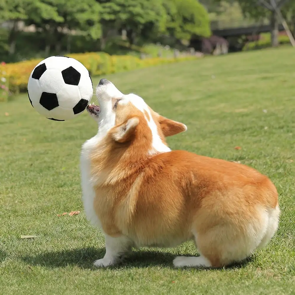 Coussin en peluche de football Jouets pour Chien - Image 4