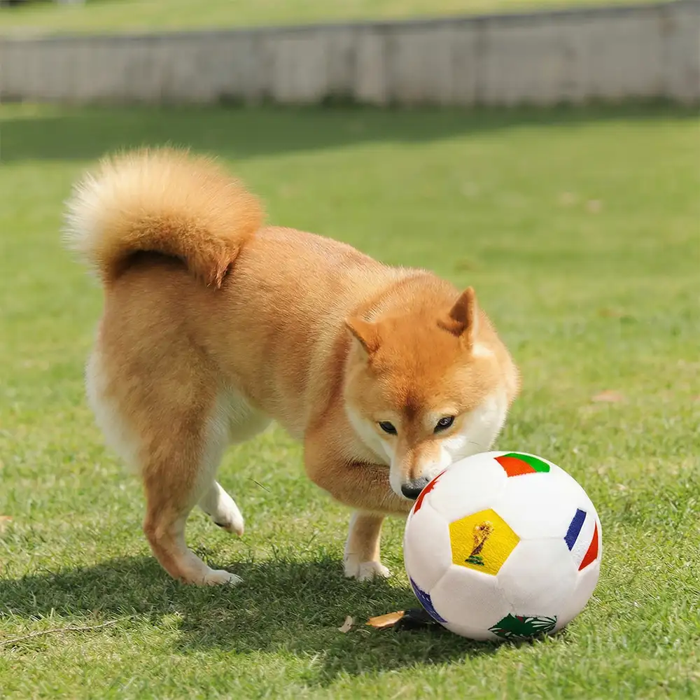 Coussin en peluche de football Jouets pour Chien - Image 5