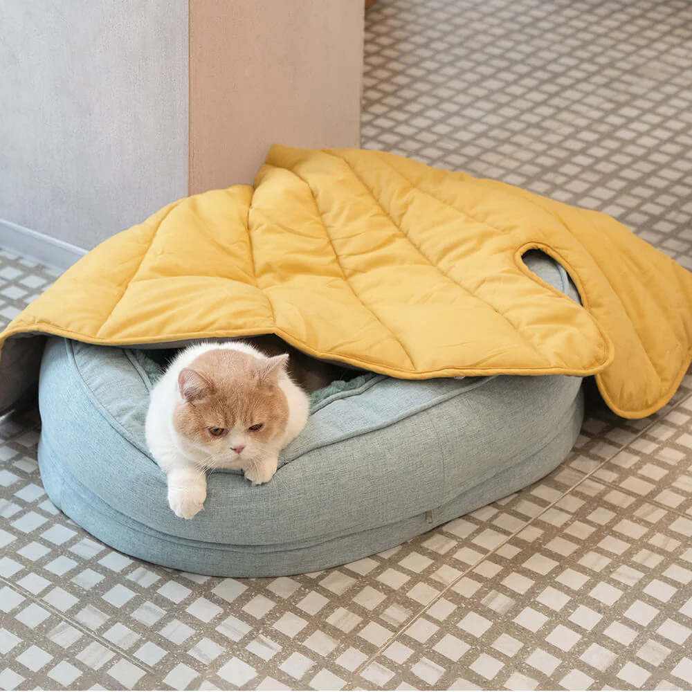 Couverture pour Chien en Forme de Feuille - Image 10