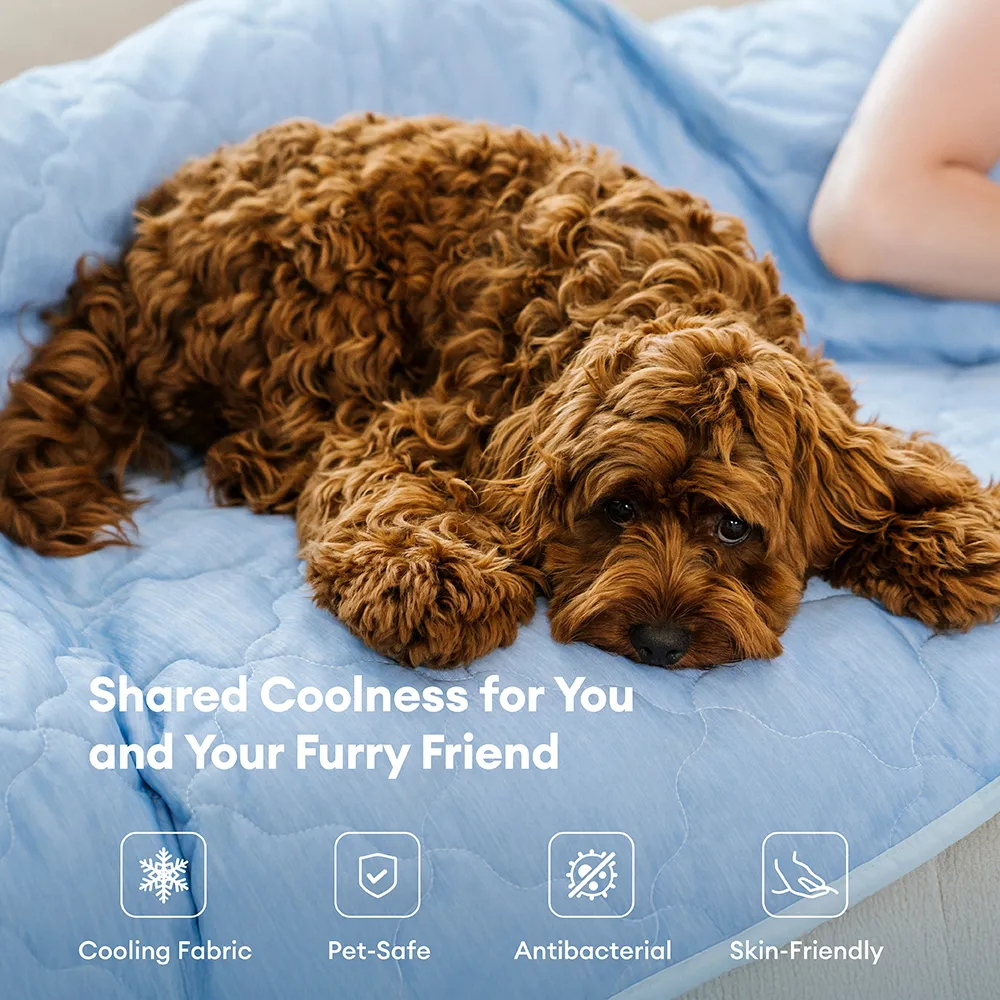 Couverture et Tapis rafraîchissant pour chien double face - Chill Nest - Image 3