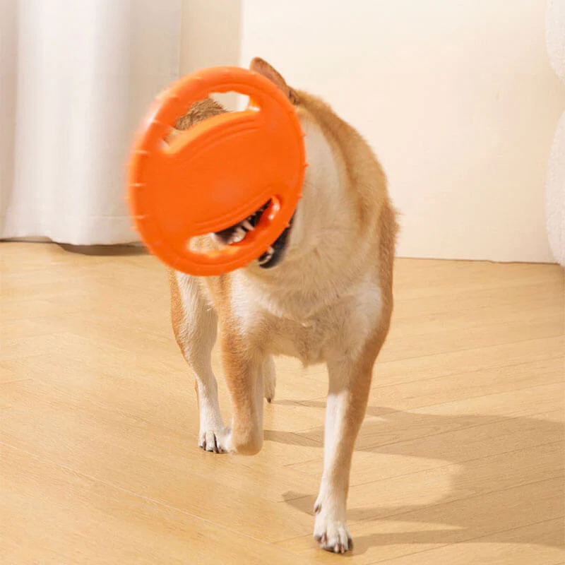 Disque Volant Interactif en Caoutchouc pour Chien avec Poignée - Image 10
