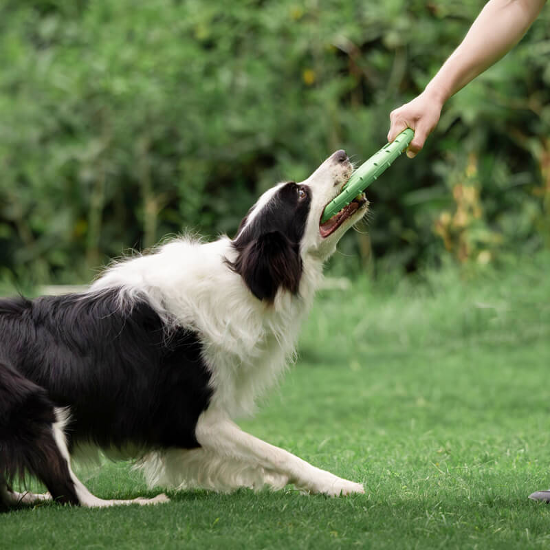 Disque Volant Interactif en Caoutchouc pour Chien avec Poignée - Image 2