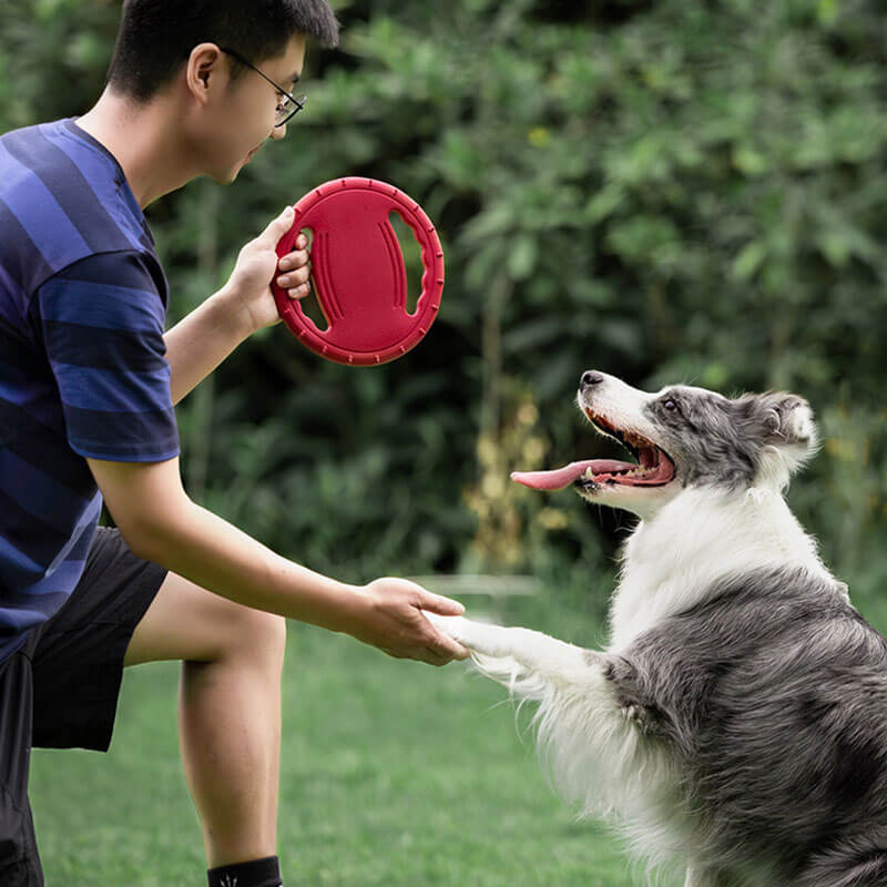 Disque Volant Interactif en Caoutchouc pour Chien avec Poignée - Image 4