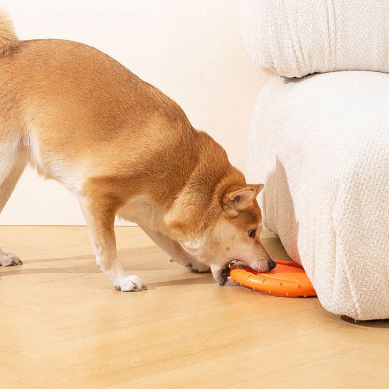 Disque Volant Interactif en Caoutchouc pour Chien avec Poignée - Image 8