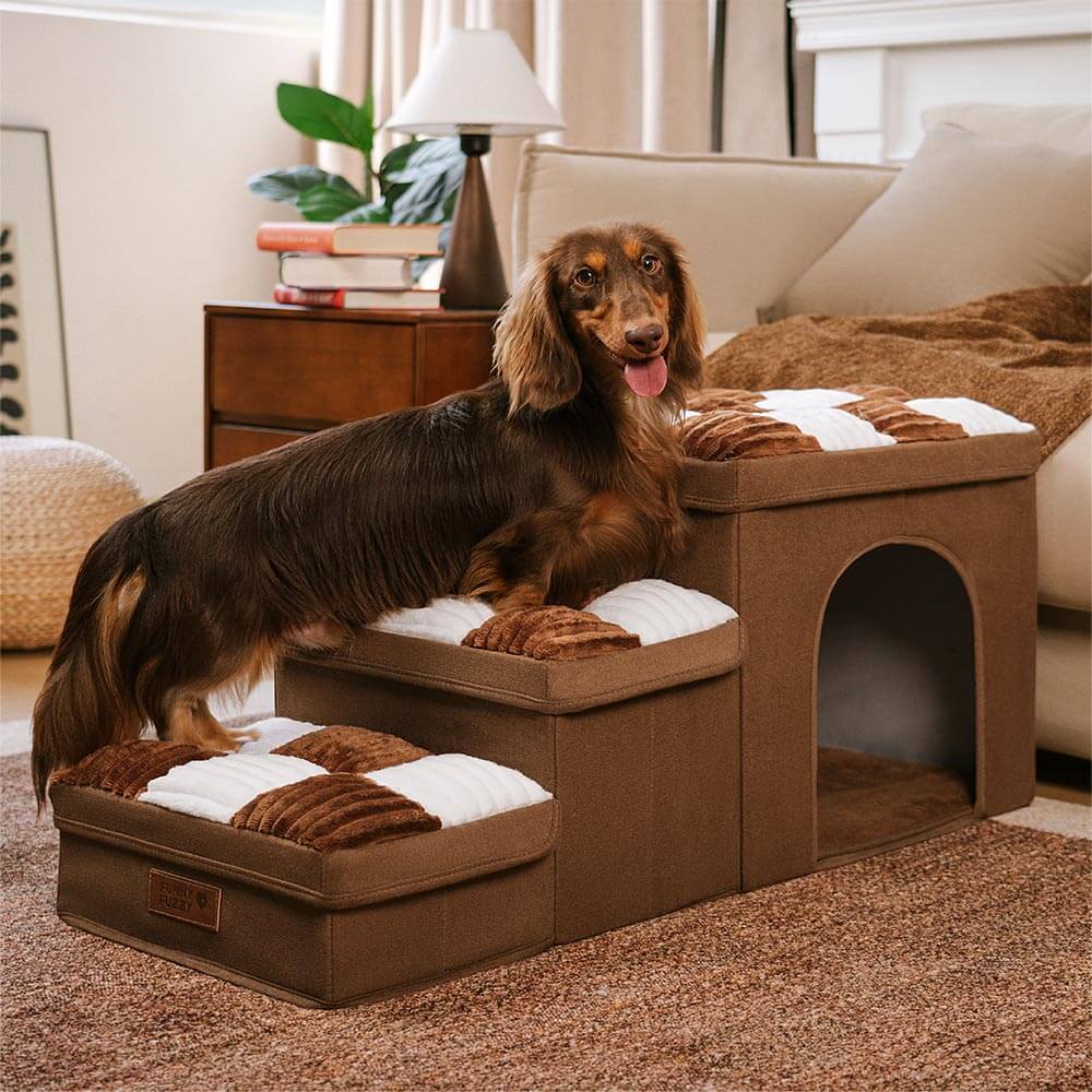 Escalier Pliable pour Chien avec Rangement - Carreaux - Image 17