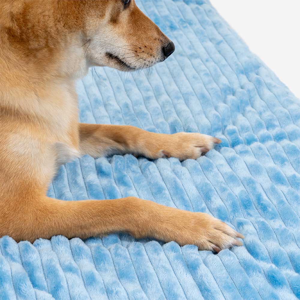 Lit tente orthopédique douillet pour chien style château de jeu intérieur pour enfants - Fairytale Dreamland - Image 13