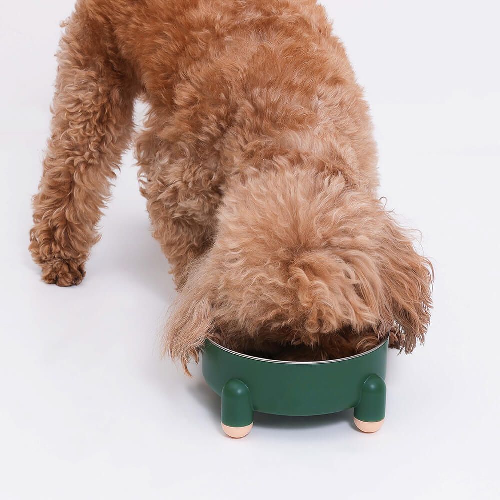 Gamelle pour chien - Tétrapode - Image 6