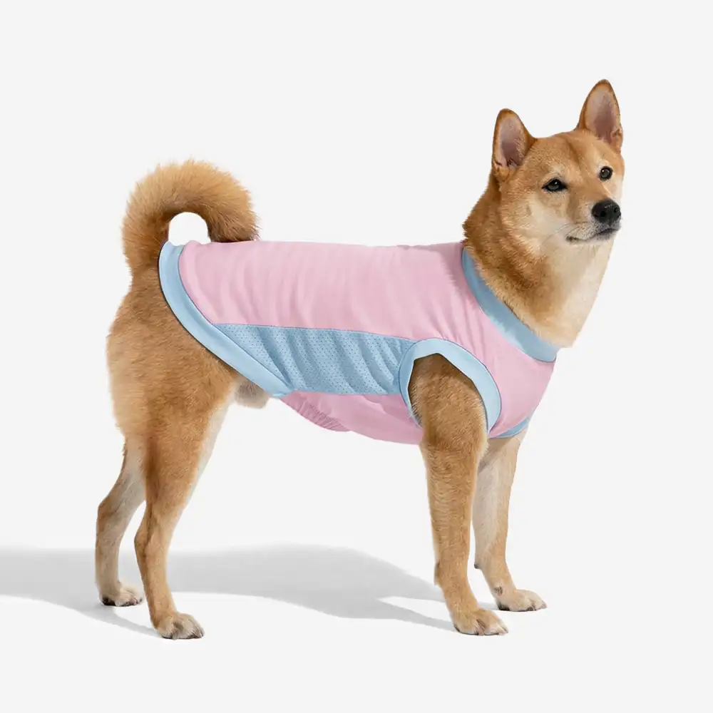 Gilet pour chien en soie glacée et anti-UV - Image 4