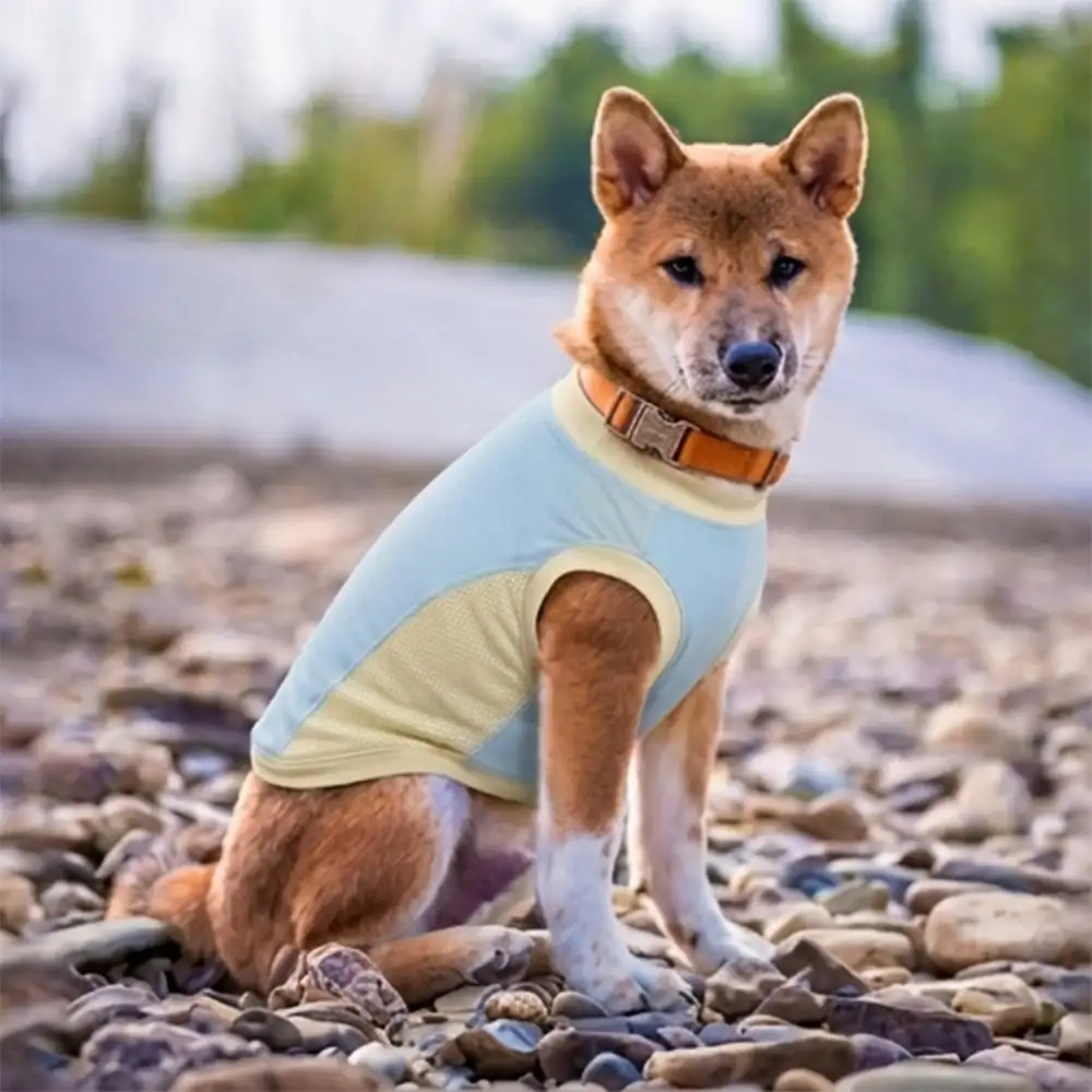 Gilet pour chien en soie glacée et anti-UV - Image 7