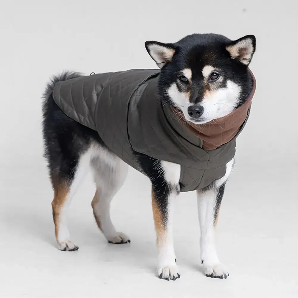 Gilet pour chien matelassé à col montant - Manteau d'hiver chaud et tendance - Image 9