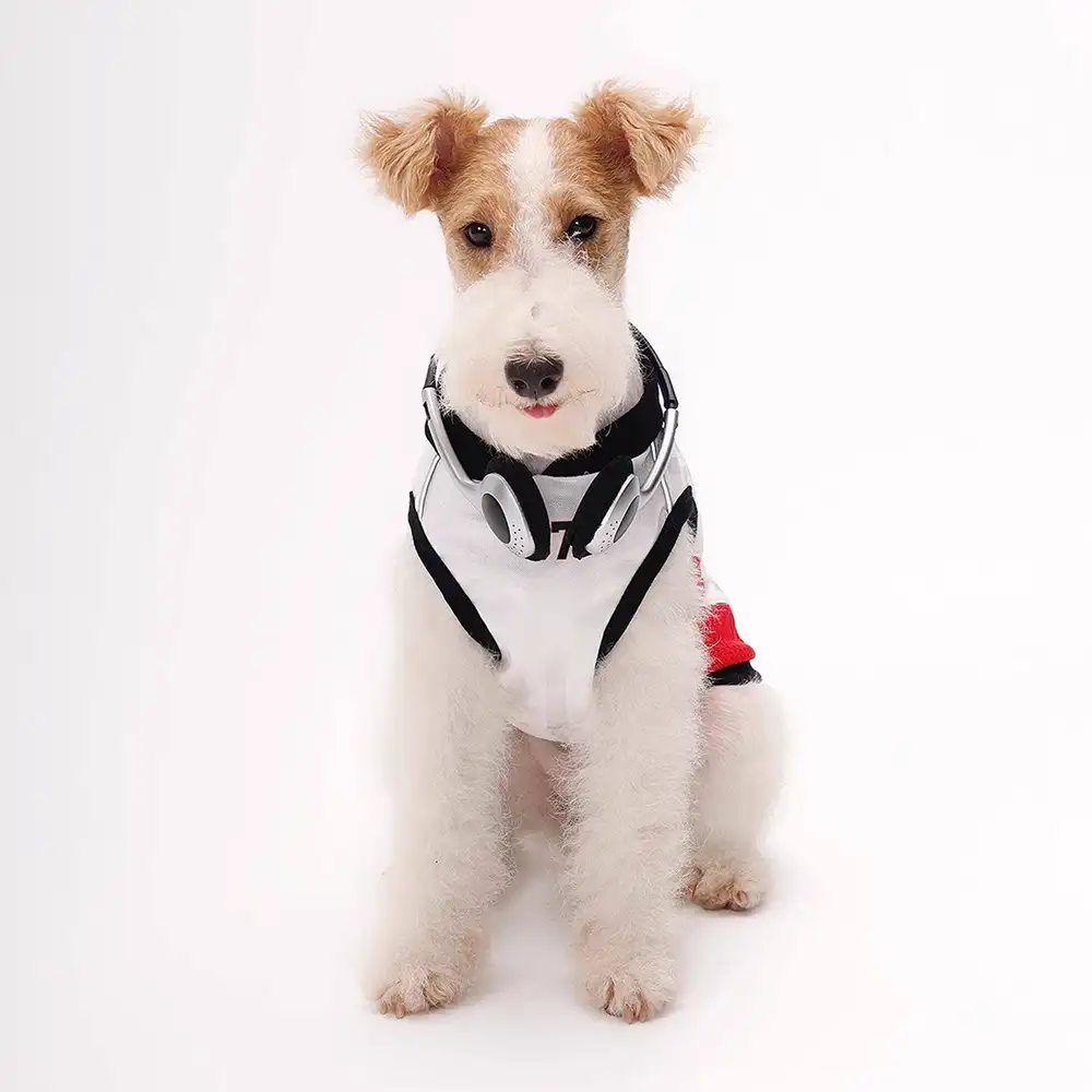 Gilet pour chien respirant à blocs de couleurs élégants - Image 6