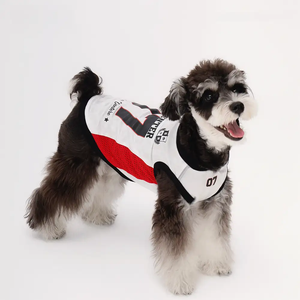 Gilet pour chien respirant à blocs de couleurs élégants - Image 7