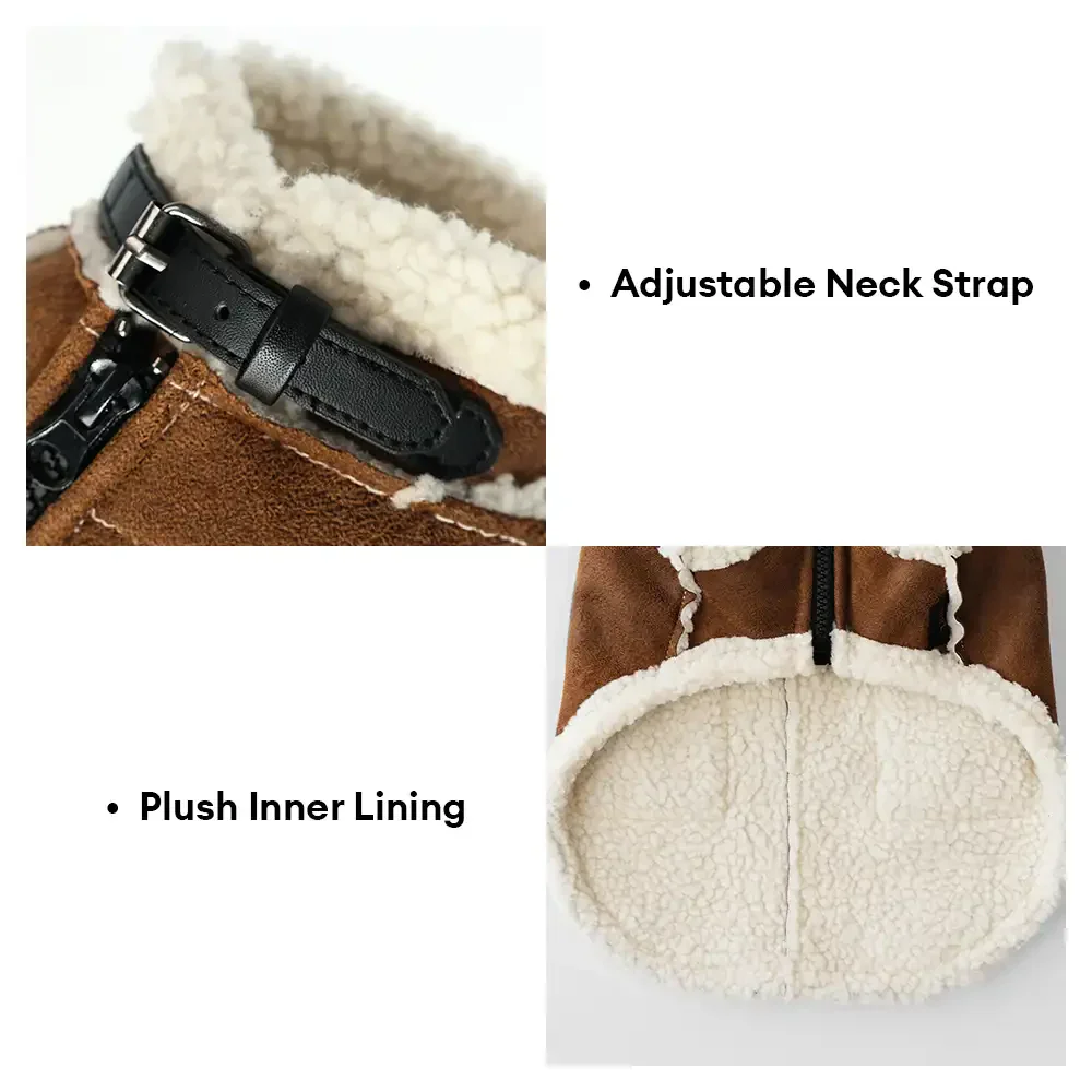 Gilet pour chien teckel en velours rétro - Image 5
