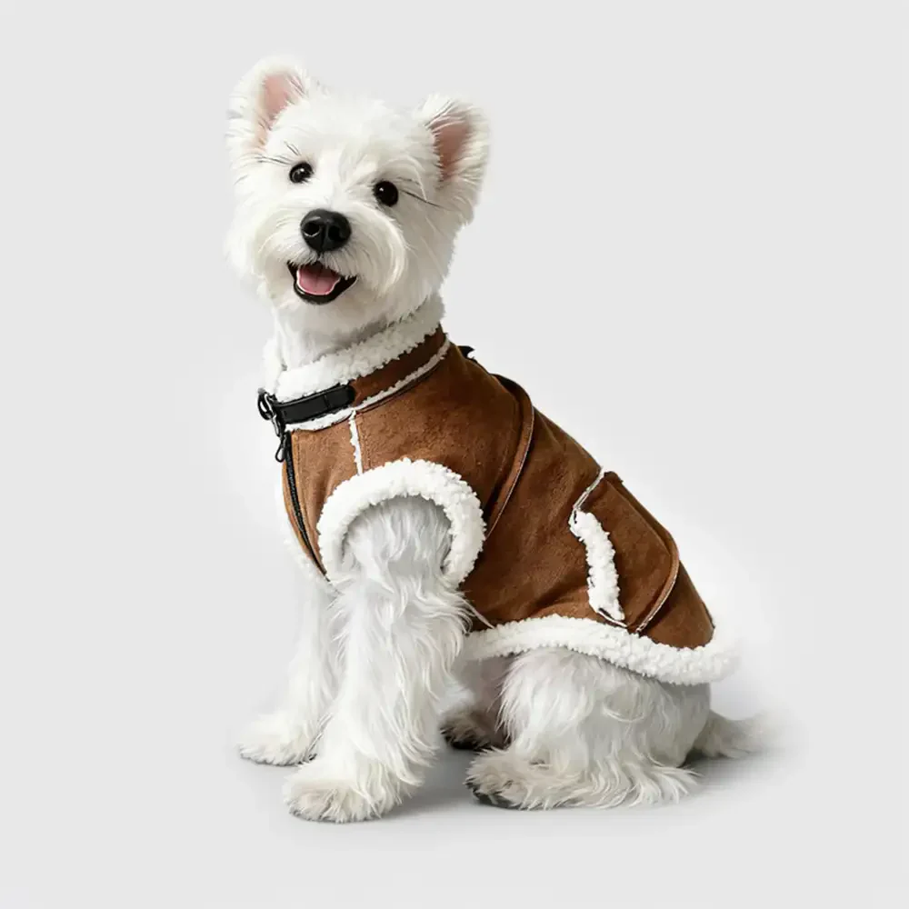 Gilet pour chien teckel en velours rétro - Image 7