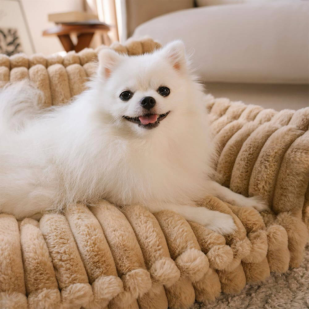 Grand Coussin Orthopédique Doux Lavable et Moelleux pour Chien - Lit de Canapé d'Extérieur Snoozy Dream - Image 17