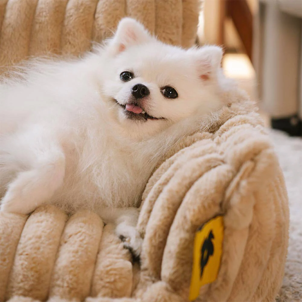 Grand Coussin Orthopédique Doux Lavable et Moelleux pour Chien - Lit de Canapé d'Extérieur Snoozy Dream - Image 18