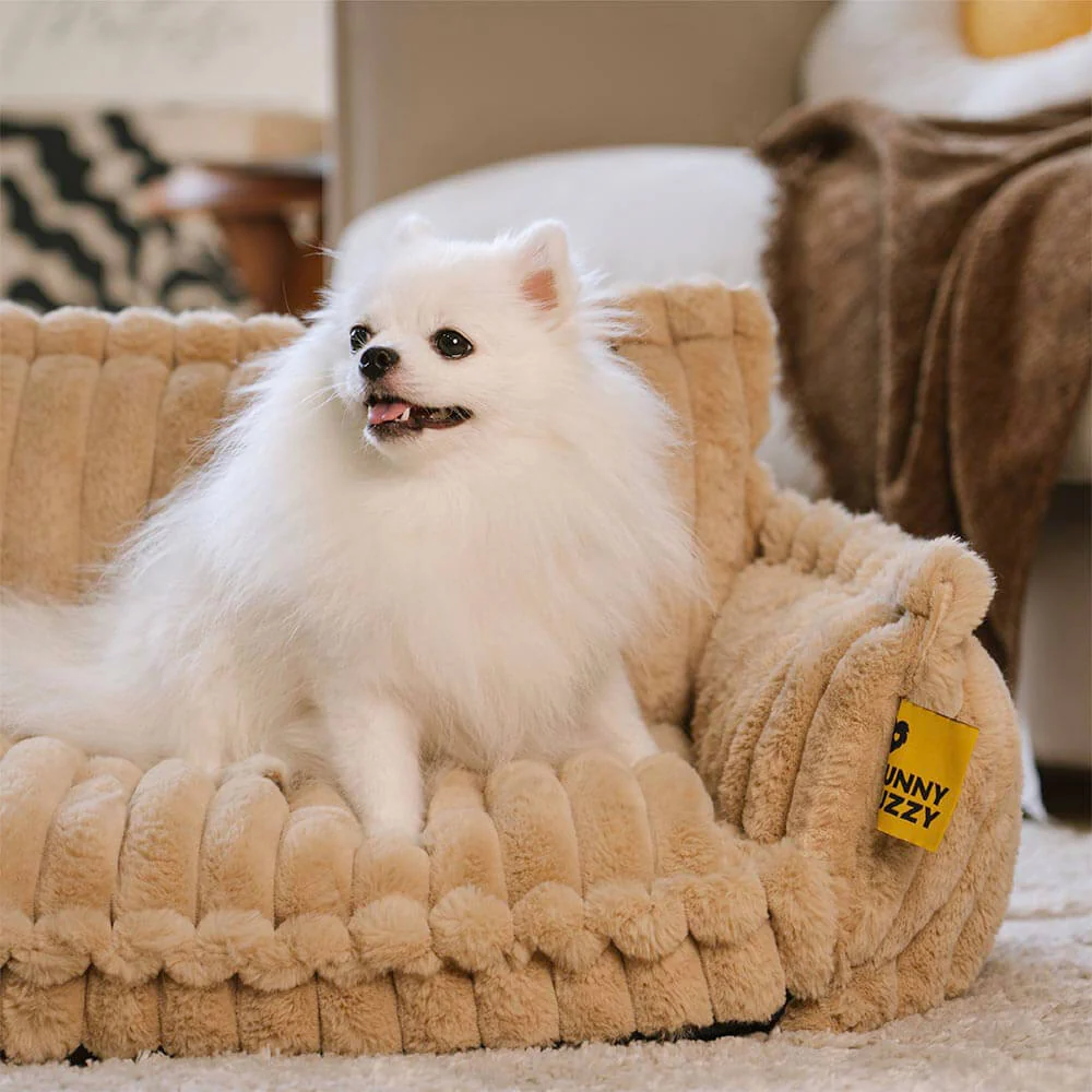 Grand Coussin Orthopédique Doux Lavable et Moelleux pour Chien - Lit de Canapé d'Extérieur Snoozy Dream - Image 19