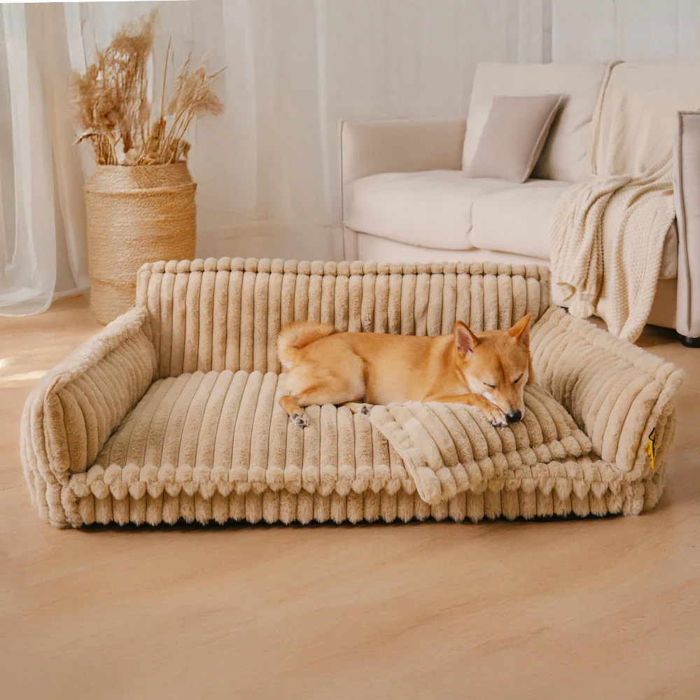 Grand Coussin Orthopédique Doux Lavable et Moelleux pour Chien - Lit de Canapé d'Extérieur Snoozy Dream - Image 3
