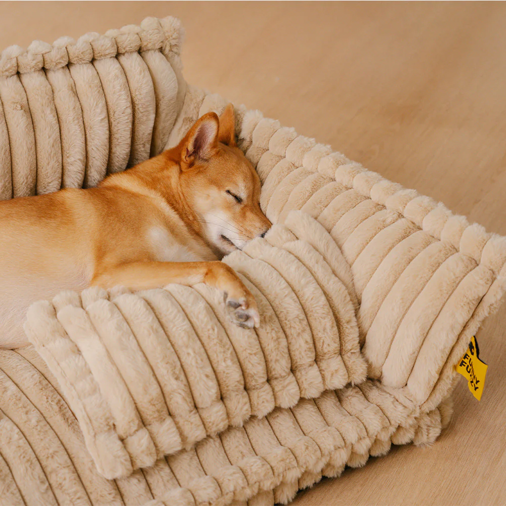 Grand Coussin Orthopédique Doux Lavable et Moelleux pour Chien - Lit de Canapé d'Extérieur Snoozy Dream - Image 5