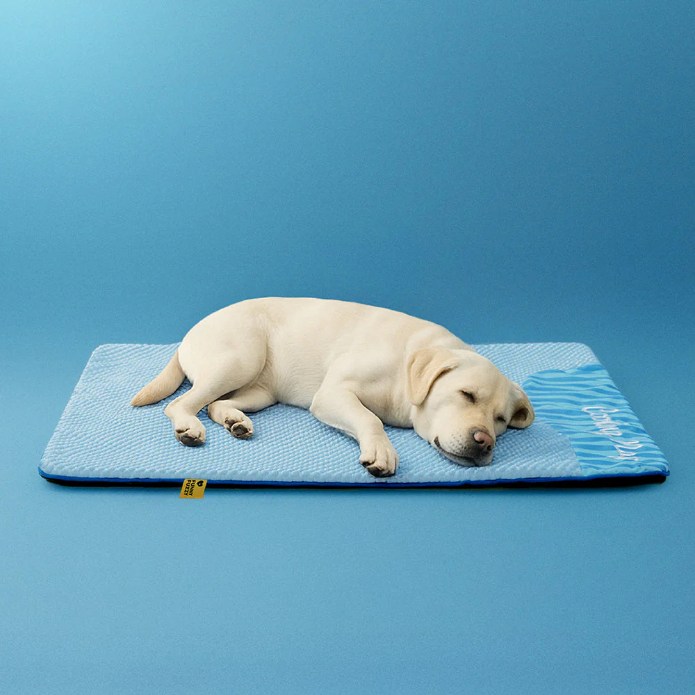 Grand Tapis Rafraichissant Chien Lavable Antidérapant pour Chiens d'Extérieur - Sieste Refroidissante - Image 14