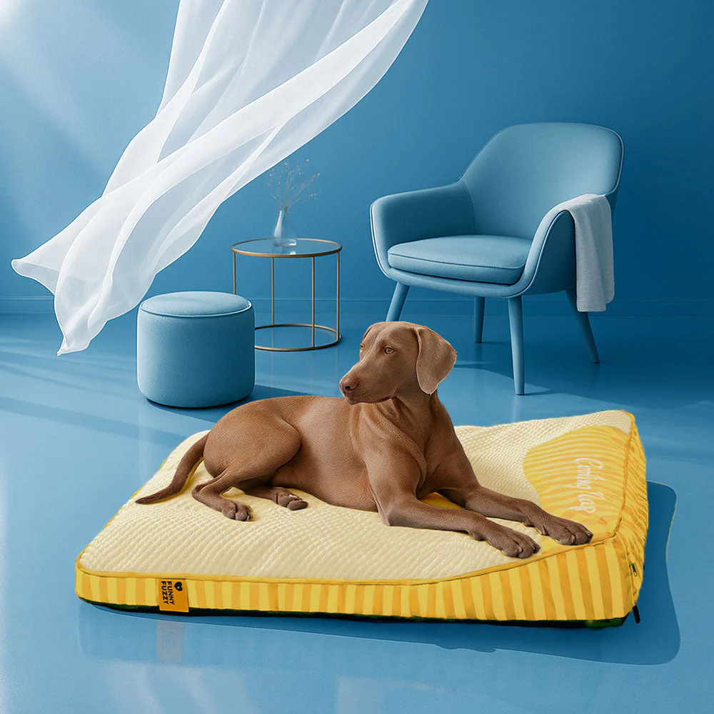 Grand Tapis Rafraichissant Chien Lavable Antidérapant pour Chiens d'Extérieur - Sieste Refroidissante - Image 23