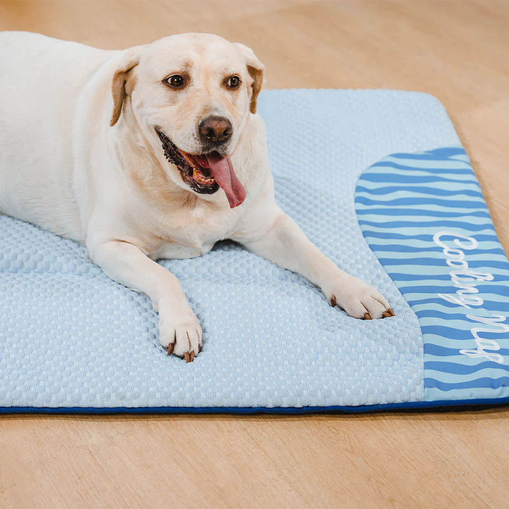 Grand Tapis Rafraichissant Chien Lavable Antidérapant pour Chiens d'Extérieur - Sieste Refroidissante - Image 5
