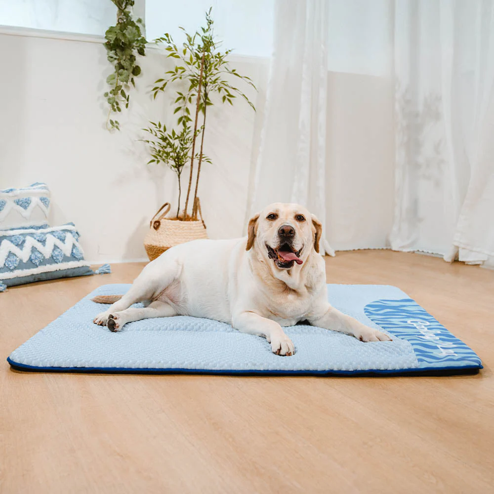 Grand Tapis Rafraichissant Chien Lavable Antidérapant pour Chiens d'Extérieur - Sieste Refroidissante - Image 8