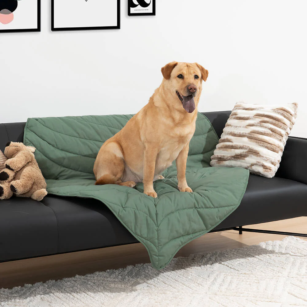 Grande Couverture en Forme de Feuille pour Humains et Chiens - Image 10