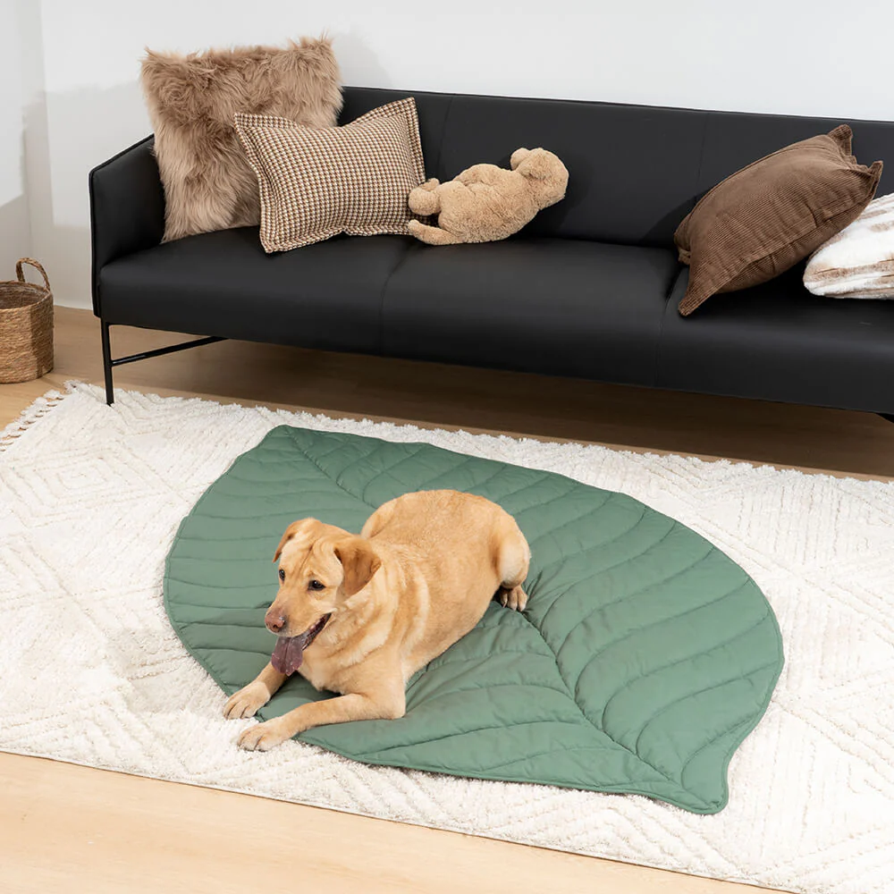Grande Couverture en Forme de Feuille pour Humains et Chiens - Image 11