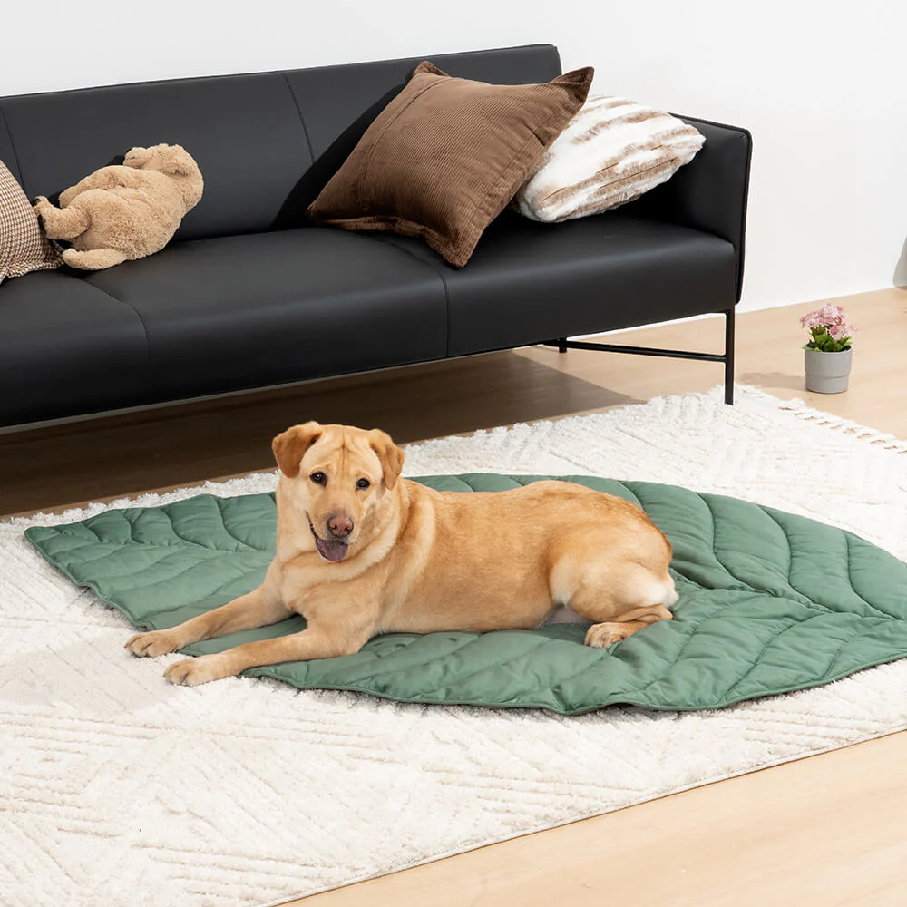 Grande Couverture en Forme de Feuille pour Humains et Chiens - Image 12