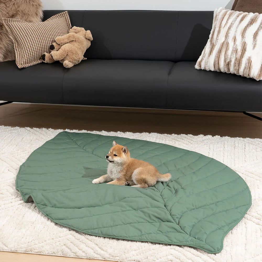 Grande Couverture en Forme de Feuille pour Humains et Chiens - Image 13