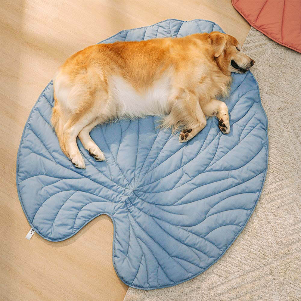 Grande Couverture en Forme de Feuille pour Humains et Chiens - Image 16