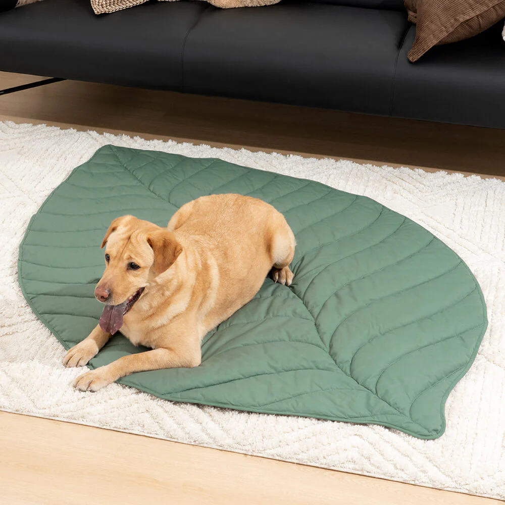 Grande Couverture en Forme de Feuille pour Humains et Chiens - Image 8