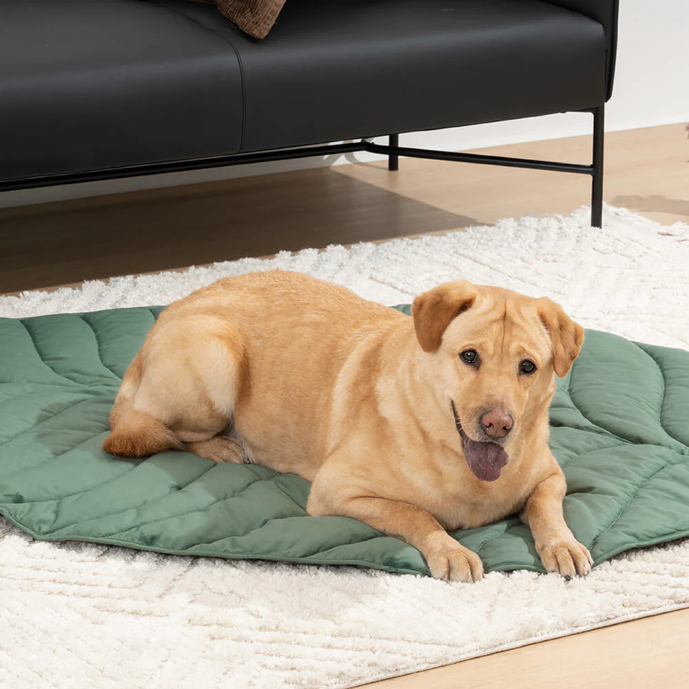 Grande Couverture en Forme de Feuille pour Humains et Chiens - Image 9