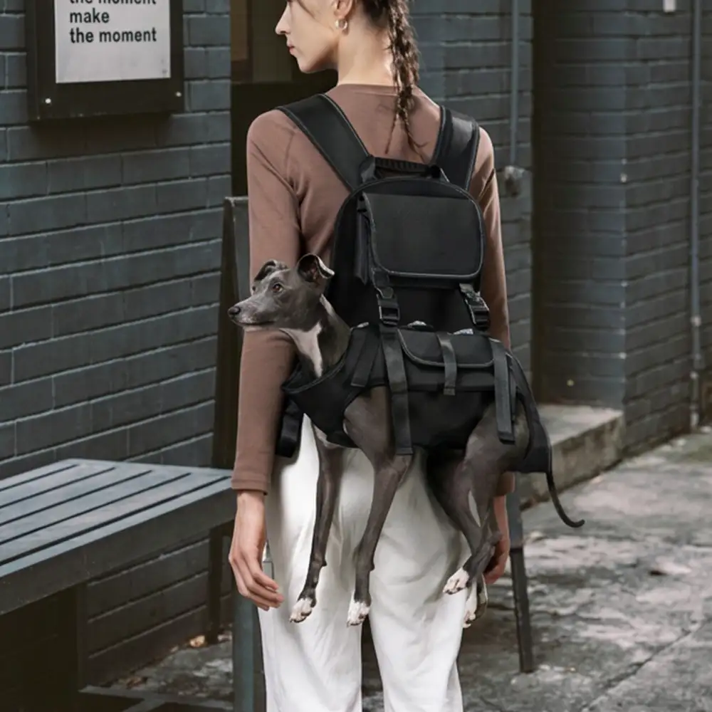 Harnais de transport pour chien portable ergonomique et confortable pour les sports de plein air - Image 3
