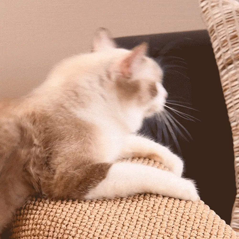 Housse de protection pour accoudoirs de canapé en faux sisal résistant aux rayures, ajustable, pour chats - Image 7