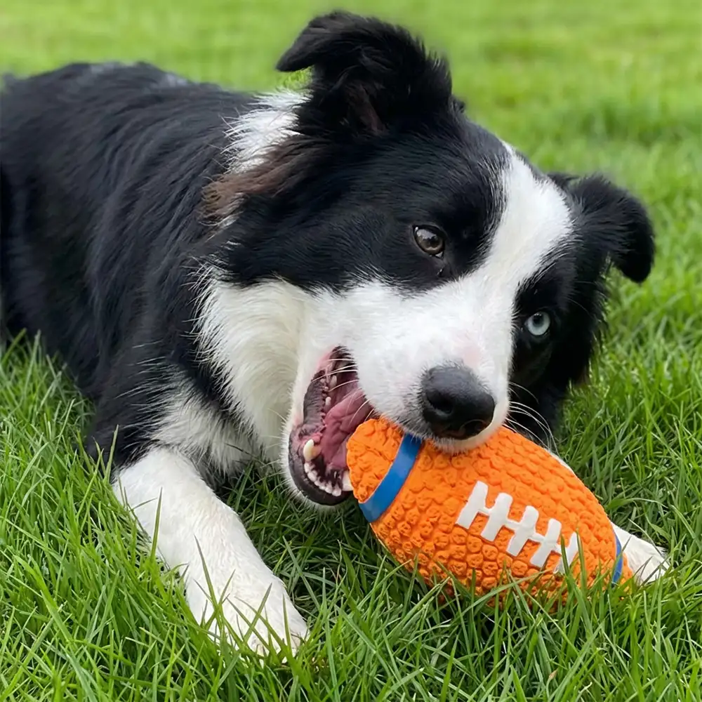 Jouet à mâcher en forme de rugby pour chien avec couineur - Image 3